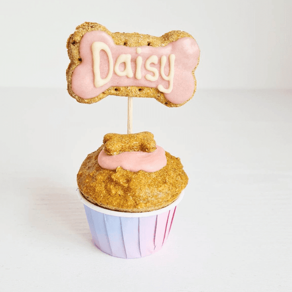 A doggie cupcake with pink icing, a bone-shaped treat on top, and the name 'Daisy' written on it, set against a white background.
