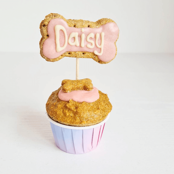 A doggie cupcake with pink icing, a bone-shaped treat on top, and the name 'Daisy' written on it, set against a white background.