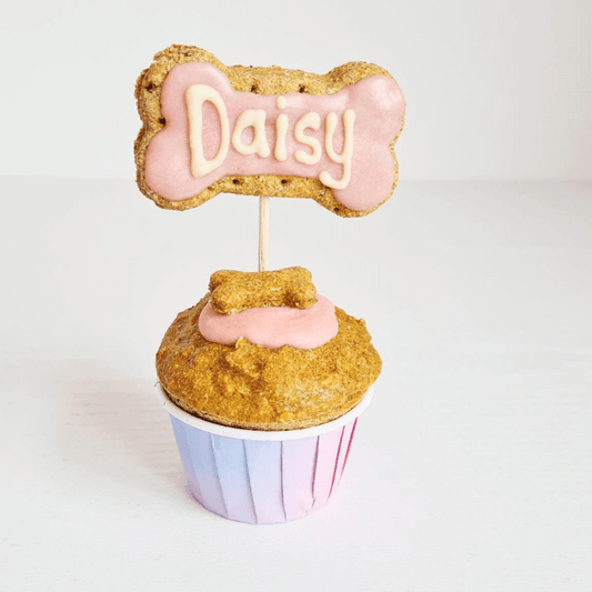 A doggie cupcake with pink icing, a bone-shaped treat on top, and the name 'Daisy' written on it, set against a white background.