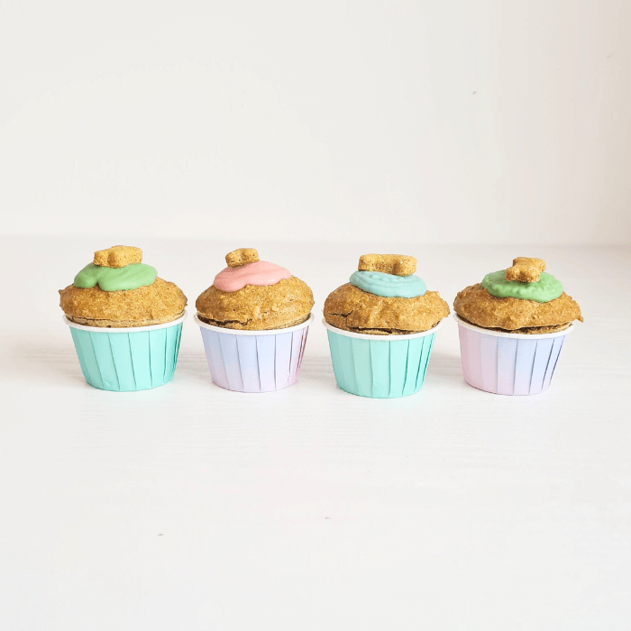 row of 4 doggie cupcakes in a row topped with dog friendly icing in pink ,blue an green on a white backgrounds 