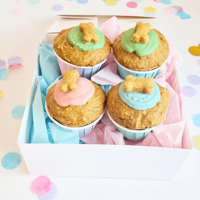 A box of four dog-friendly cupcakes with colorful icing and dog-shaped toppings, presented in pastel blue and pink liners against a dotted background.