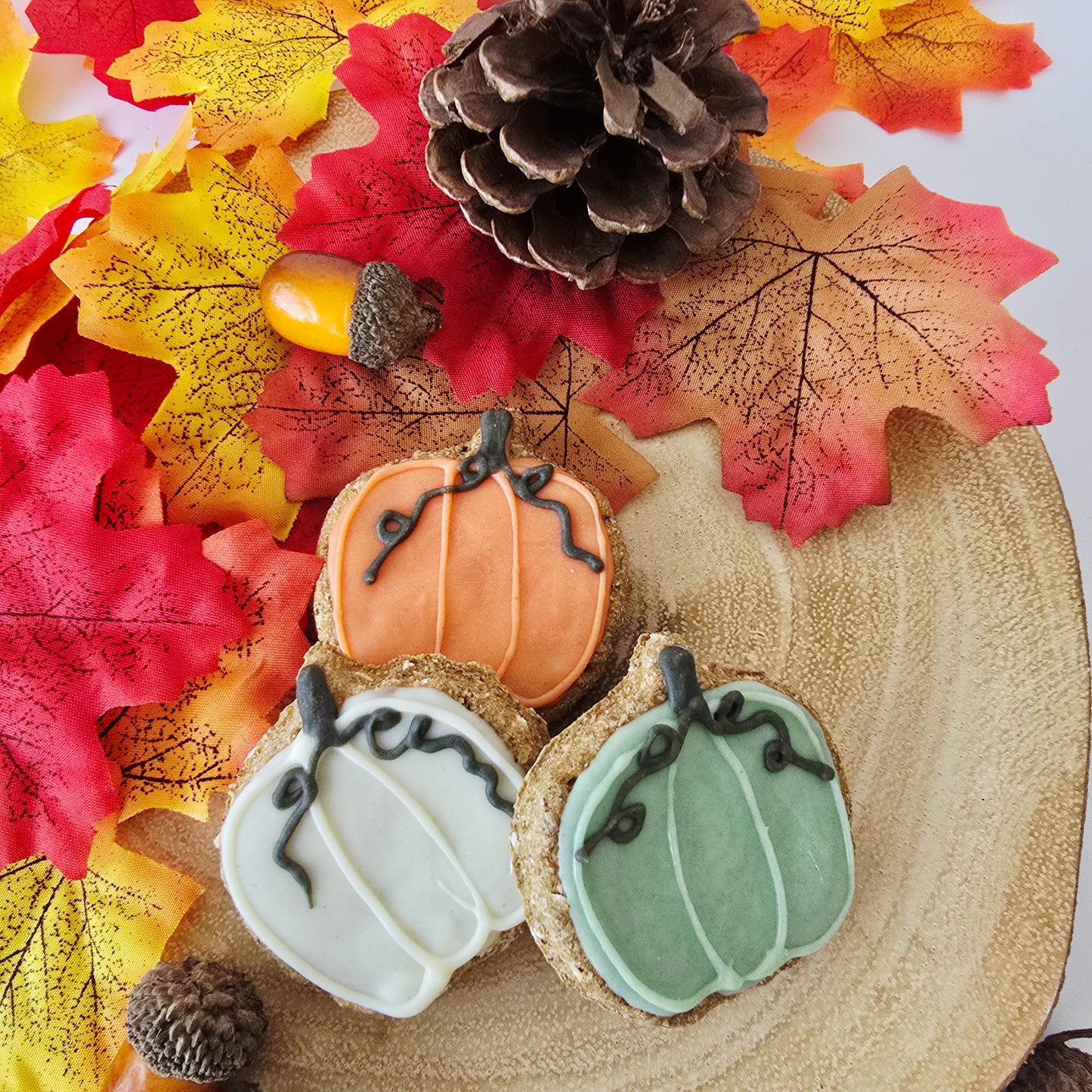 Pumpkin Biscuits - Pack of 3