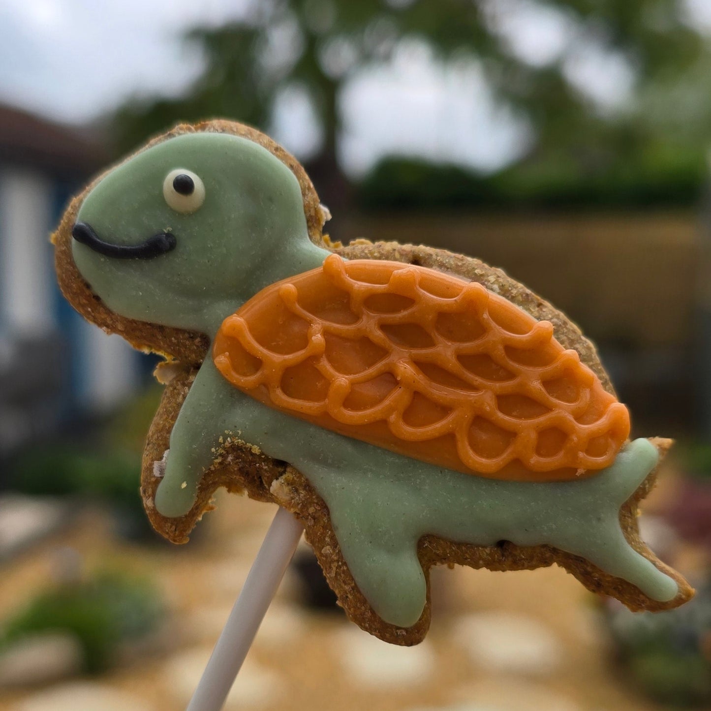 Turtle Cake Topper