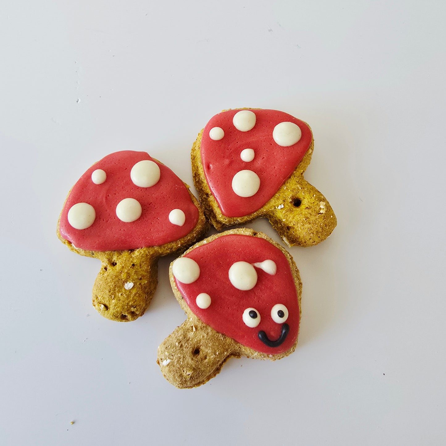Mini Mushroom Biscuits - Pack of 3