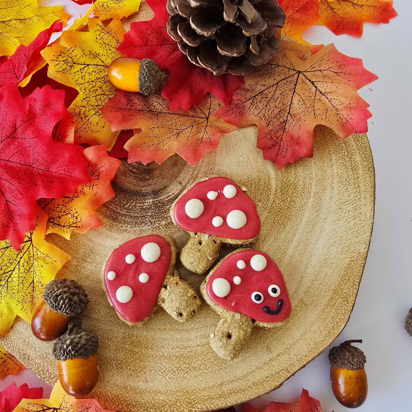 Mini Mushroom Biscuits - Pack of 3