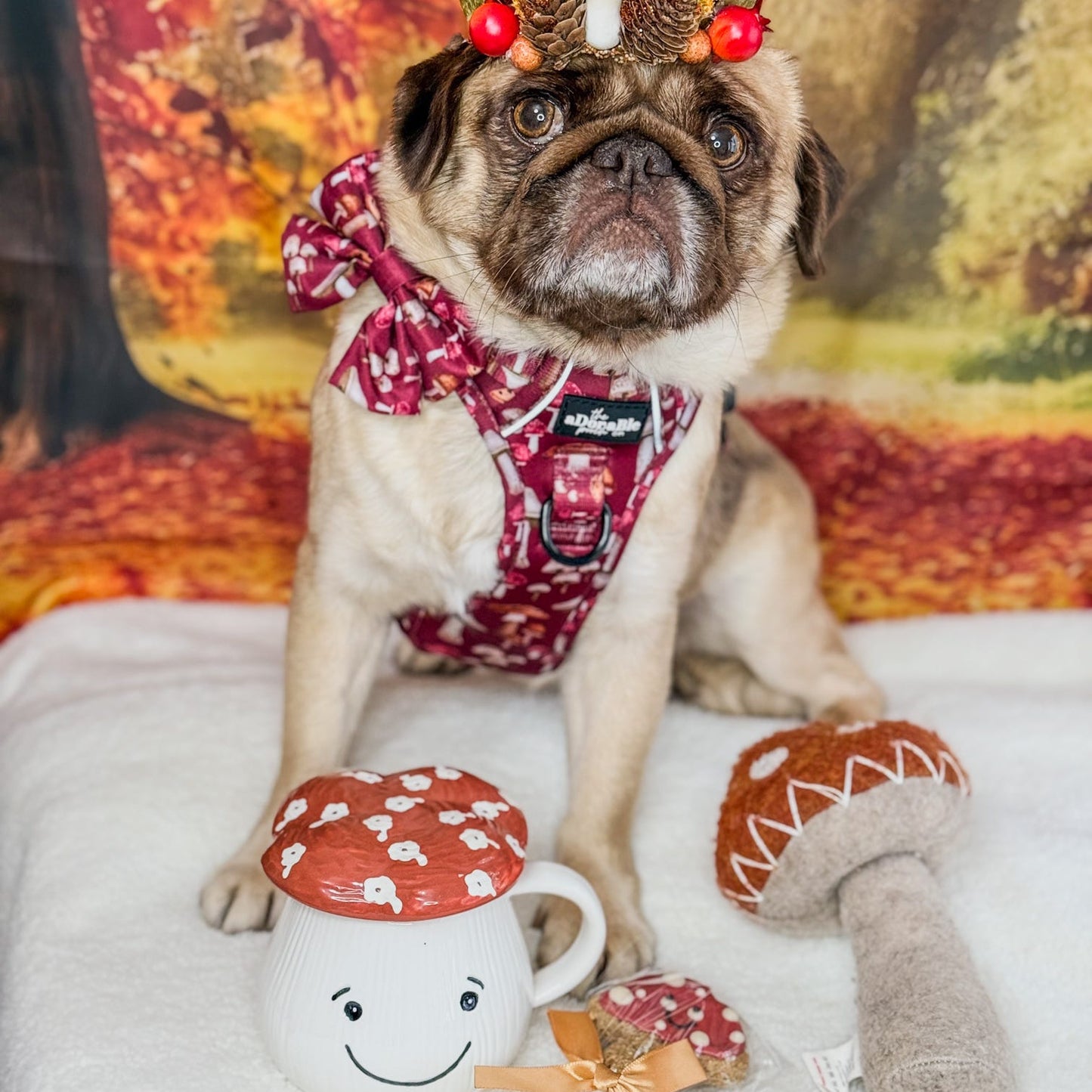 A pug dog wearing a red and white patterned harness and matching headband with antler accents, sitting on a white blanket with mushroom-shaped toys in front of an autumn-themed backdrop.