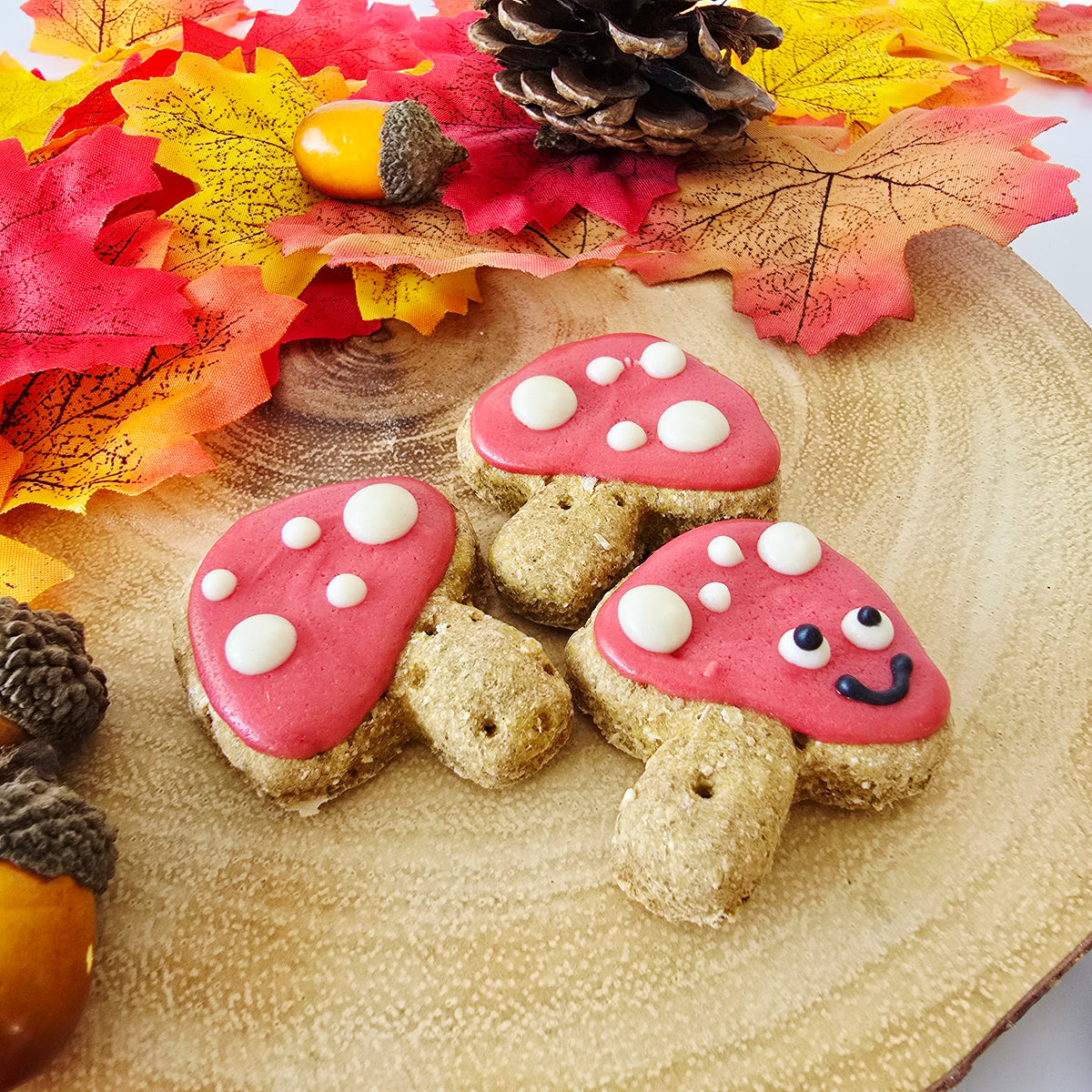 Mini Mushroom Biscuits - Pack of 3