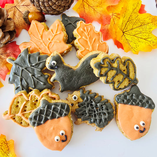 Autumn Dog Treat Box