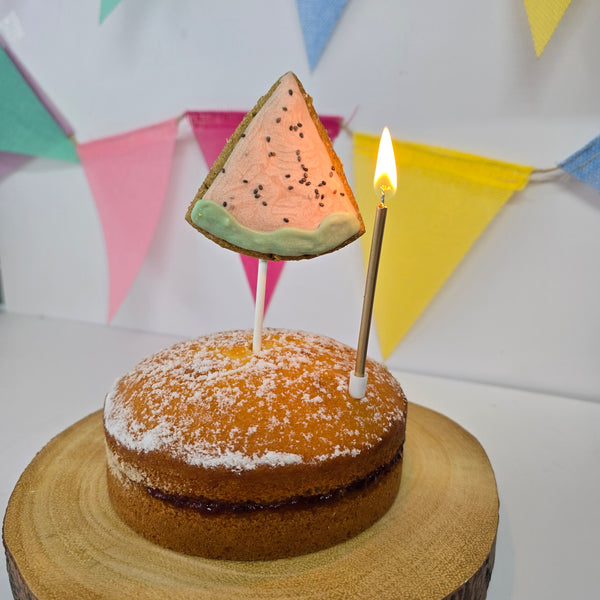 Water Melon Cake Topper