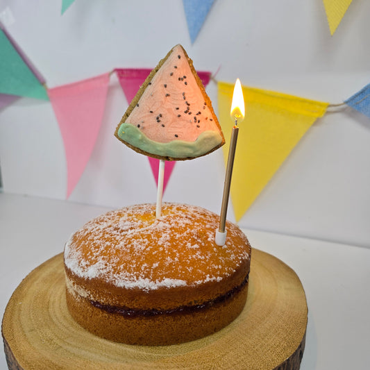 Water Melon Cake Topper