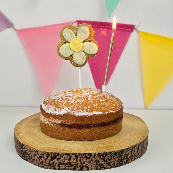 Daisy Flower  Cake Topper