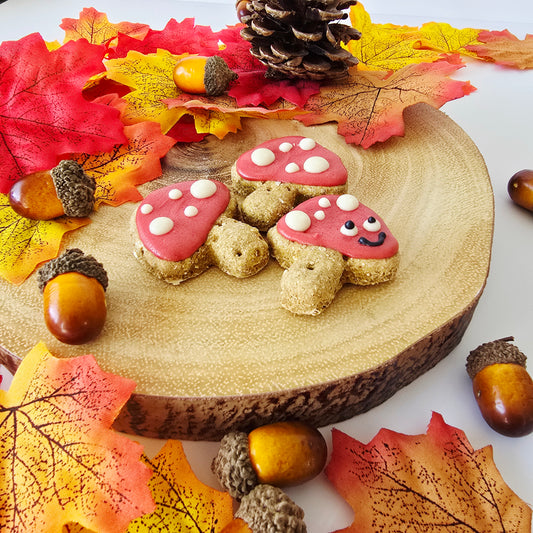 Mini Mushroom Biscuits - Pack of 3