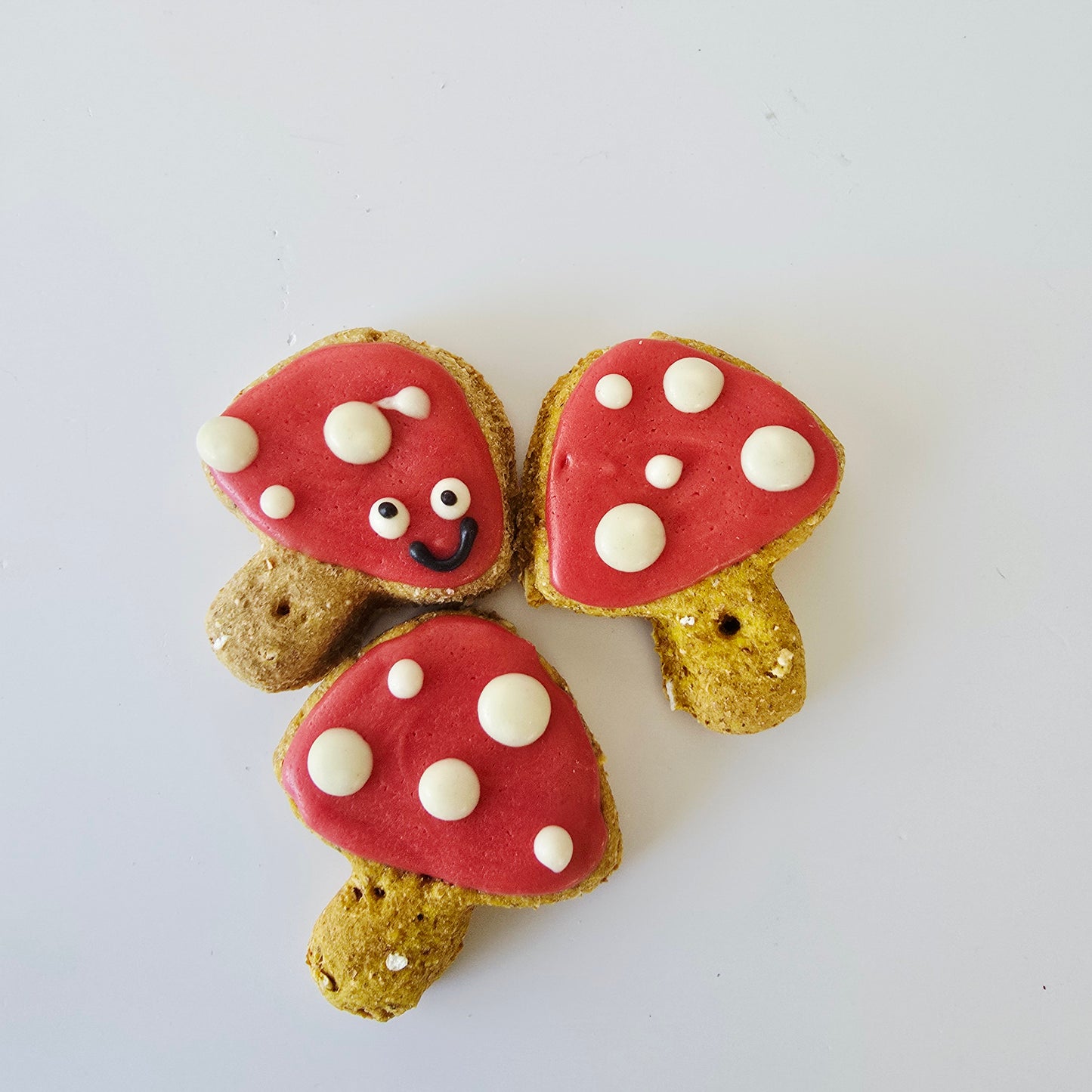 Mini mushrooms (3pk)