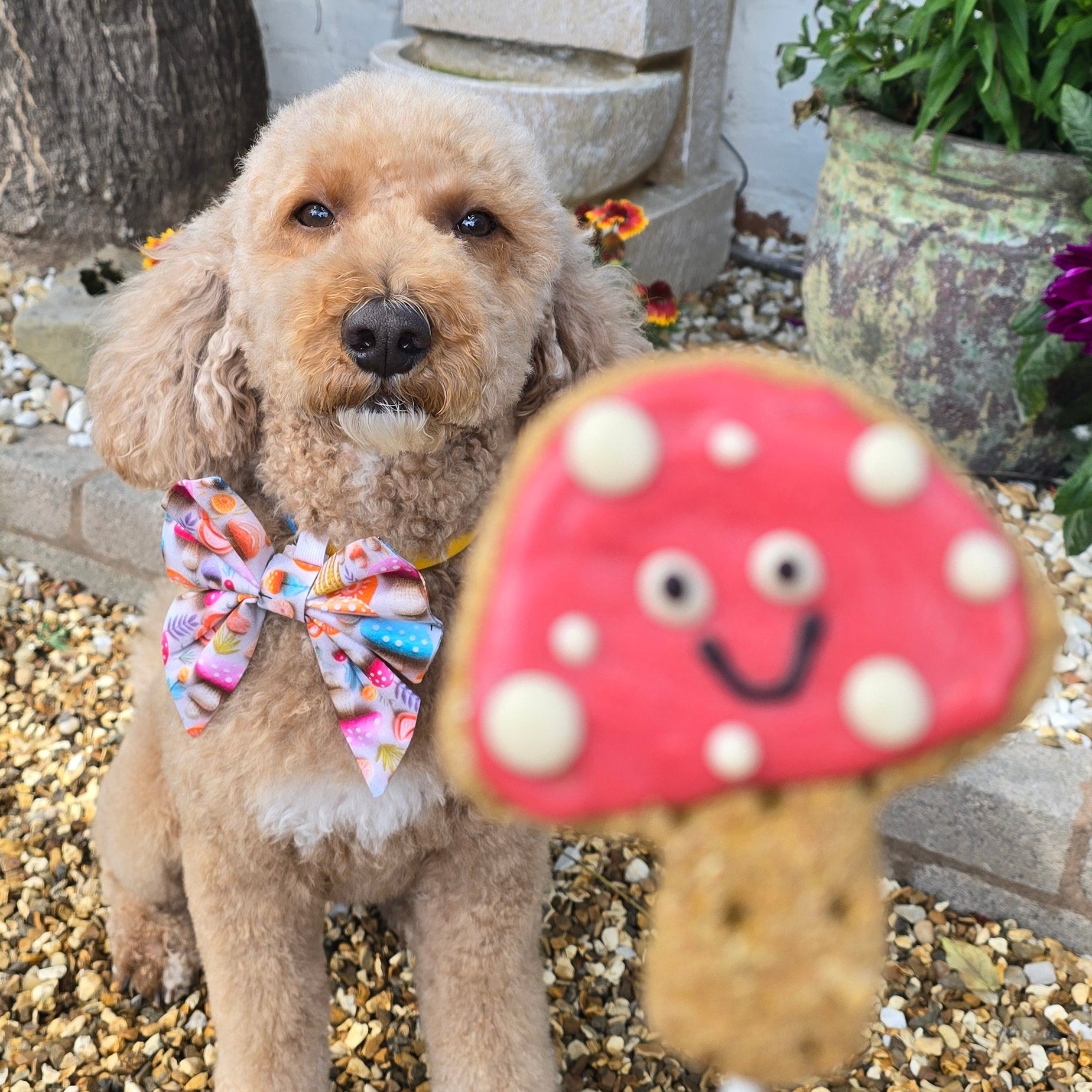 A small tan dog wearing a colorful bow tie stands on gravel in front of a garden waterfall, with a mushroom-shaped treat on a stick in the foreground.