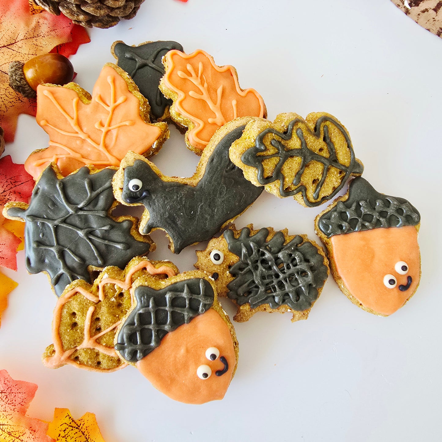 Autumn Dog Treat Box