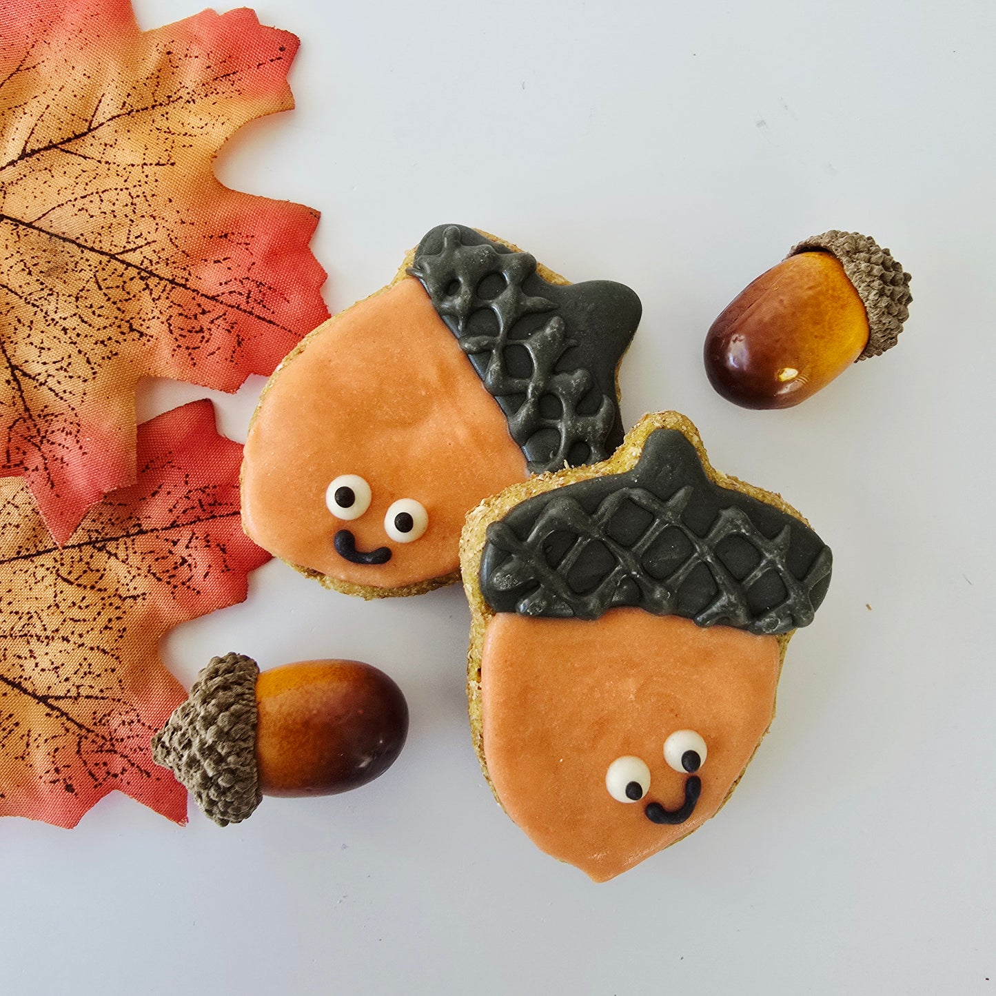 Autumn Dog Treat Box