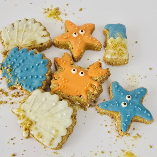 Colorful starfish and shell cookies on a white background