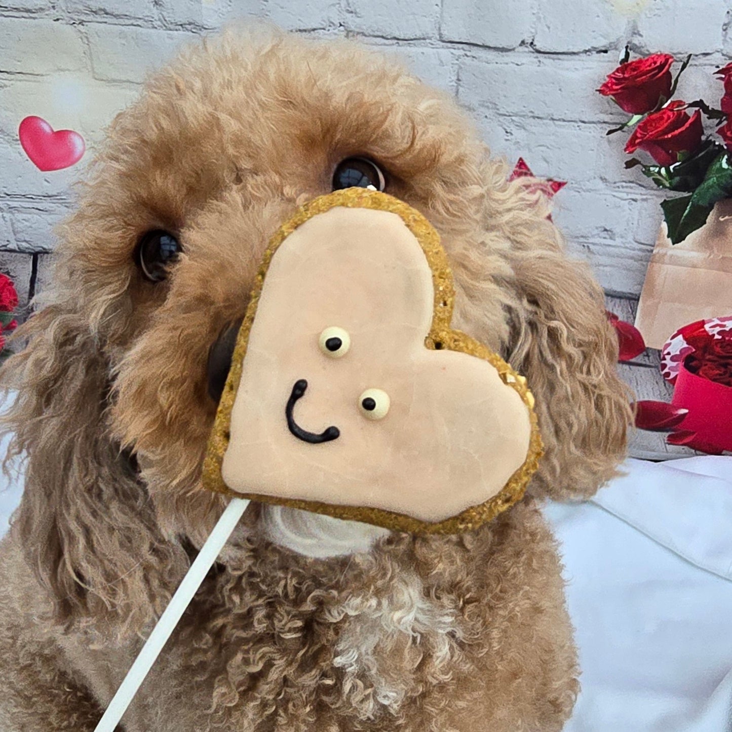 dog with a cookie on a stick held by a hand against a white background with floral decorations.